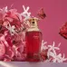 Ətir Afnan Kiaana Vibes 100ml Ətir Afnan Kiaana Vibes 100ml